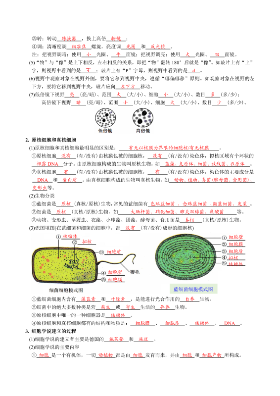 高中生物全册知识点《挖空+填空》专题（人教版）2026版-新知学习资料网